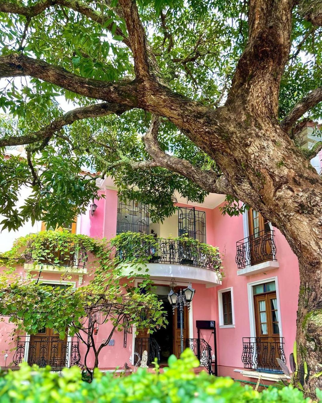 Hotel Boutique Quinta Das Videiras Florianopolis Exterior photo